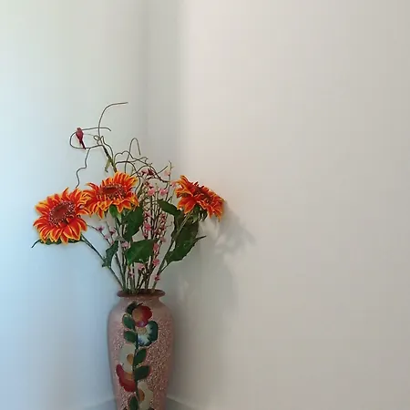 Casa Talika 招待所 3*