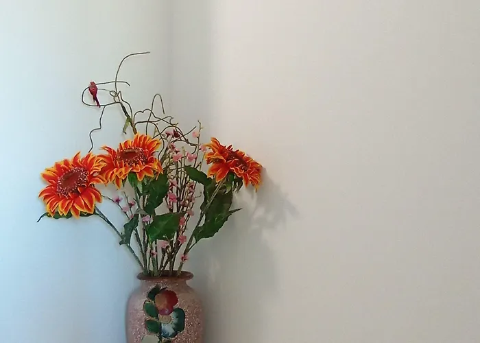 Casa Talika Guest house 3*